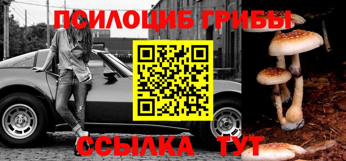 Галлюциногенные грибы Magic Shrooms Вязники