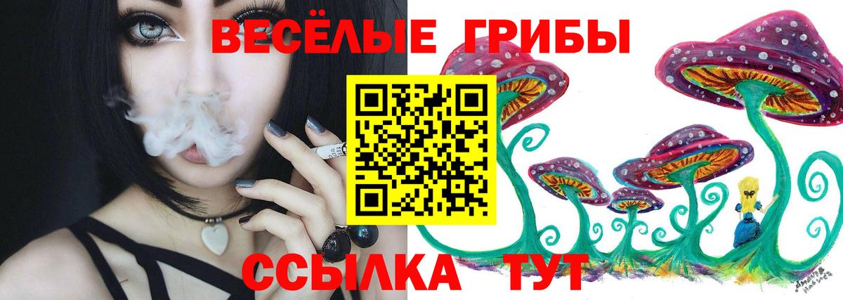 Вязники  Галлюциногенные грибы мухоморы  Вход с VPN 